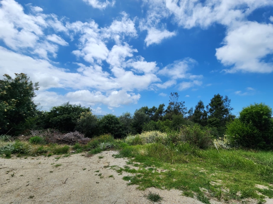 Commercial Property for Sale in Wilderness Heights Western Cape